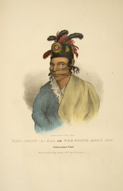 Nah-shaw-a-gaa o El Hijo del Perro Blanco de James Otto Lewis